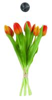 MAZZO 7 TULIPANI ARANCIO H300